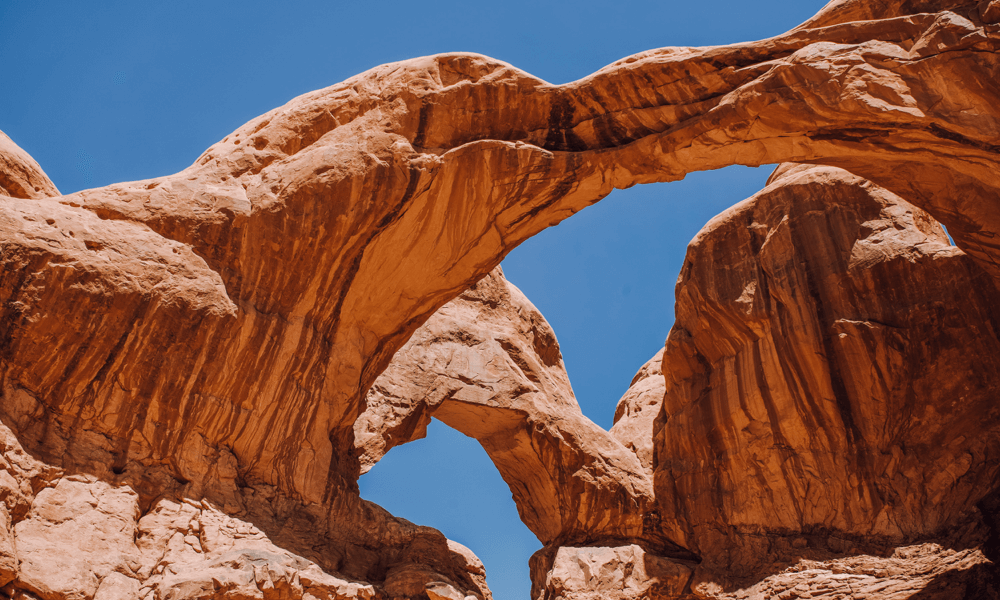 Why over 50,000 People Choose & Love Using Total for Their Websites