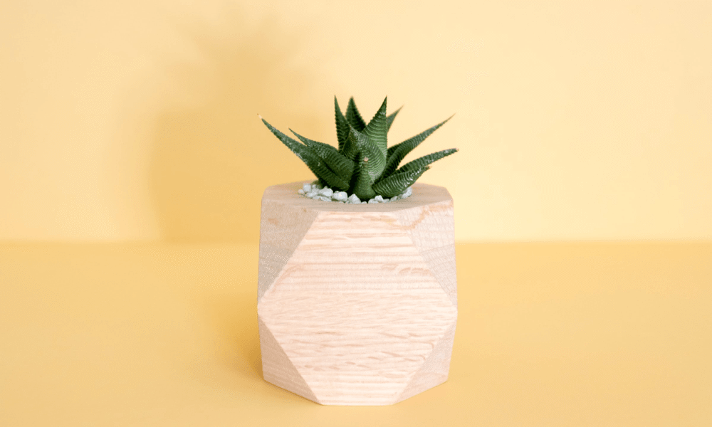 10 Reasons Why You Should Be Creating Sites With Total