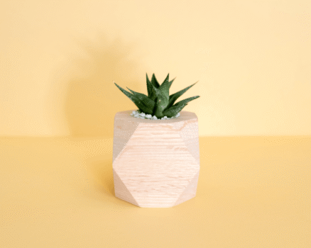 mong-bui-NznxEfw9iVI-unsplash